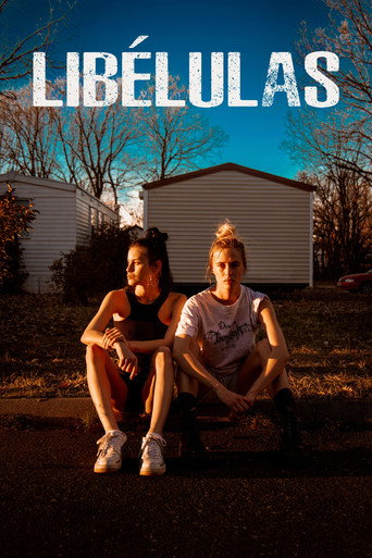 Cartel de Libélulas