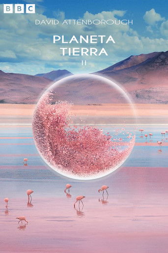 Cartel de Planeta Tierra II