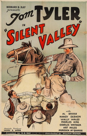 Cartel de Silent Valley