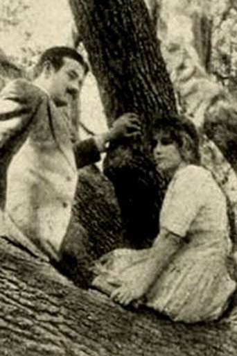 Cartel de The Girl of the Grove