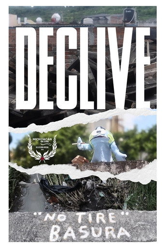 Cartel de Declive