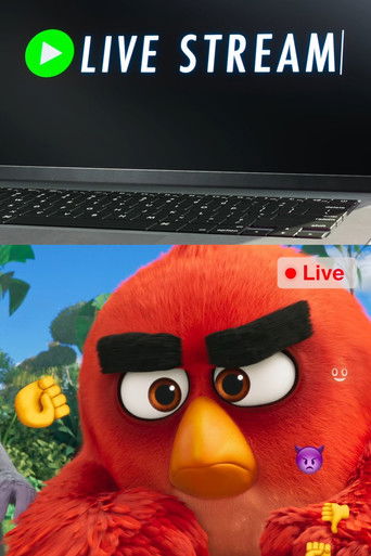 Cartel de Angry Birds: Live Stream