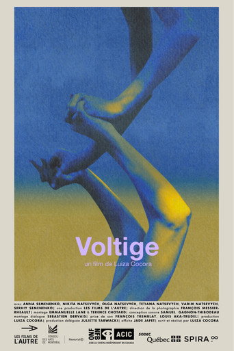 Cartel de Voltige