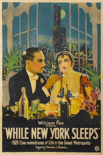 Cartel de While New York Sleeps