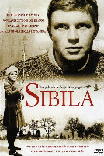 Cartel de Sibila