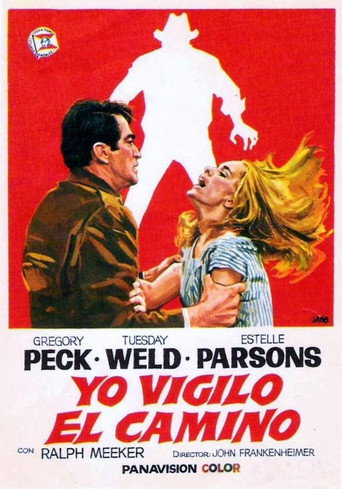 Cartel de Yo vigilo el camino