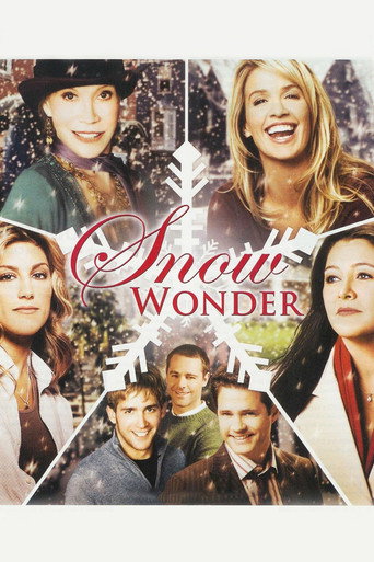 Cartel de Snow Wonder
