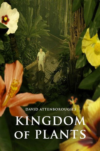 Cartel de Kingdom of Plants
