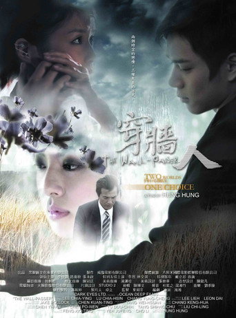 Cartel de 穿牆人