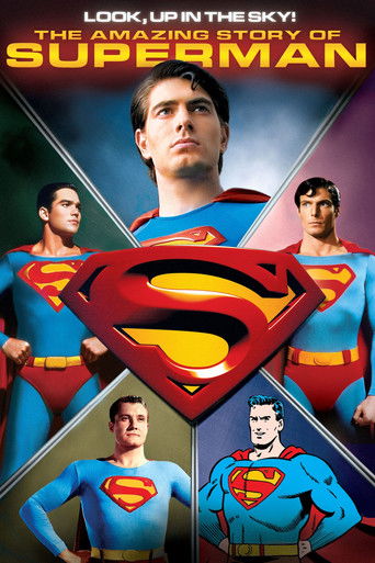 Cartel de La increíble historia de Superman: ¡Mira al cielo!