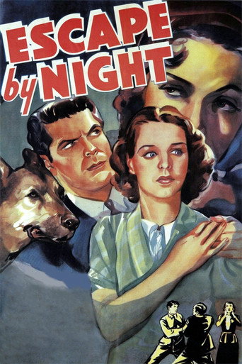 Cartel de Escape by Night