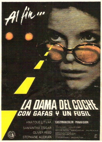 Cartel de La dama del coche con gafas y un fusil