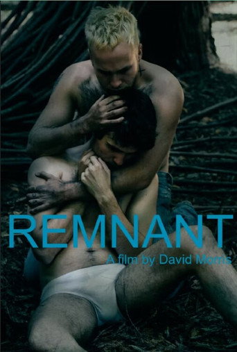 Cartel de Remnant