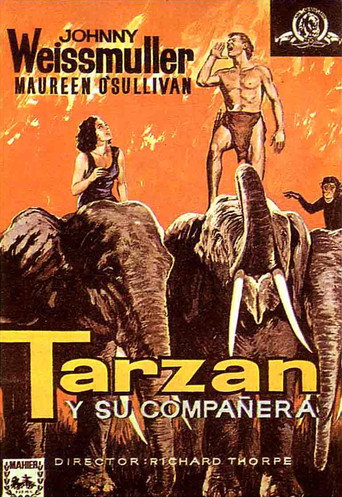 Cartel de Tarzán y su compañera