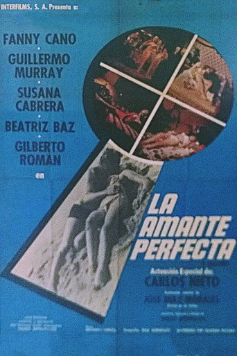 Cartel de La amante perfecta