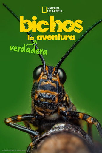 Cartel de Bichos: La verdadera aventura