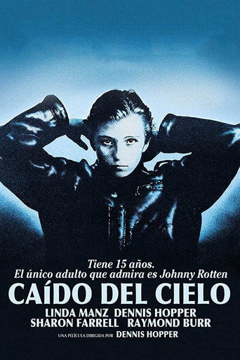 Cartel de Caído del cielo