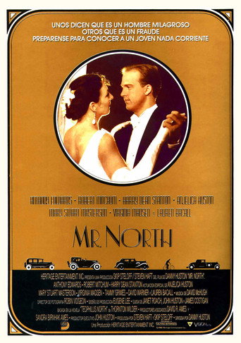 Cartel de Mr. North