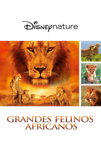 Cartel de Grandes felinos africanos: el reino del coraje