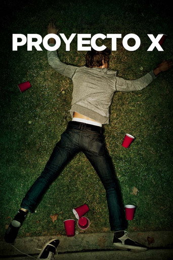 Cartel de Proyecto X