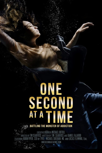 Cartel de One Second at a Time