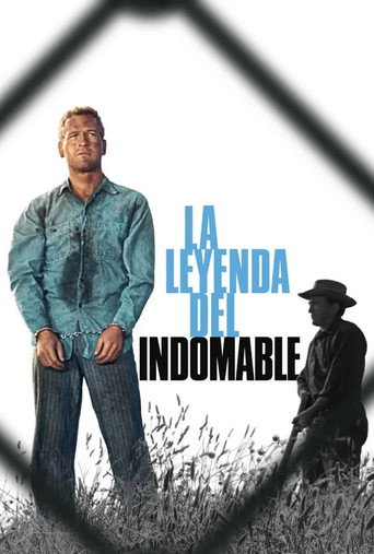 Cartel de La leyenda del indomable