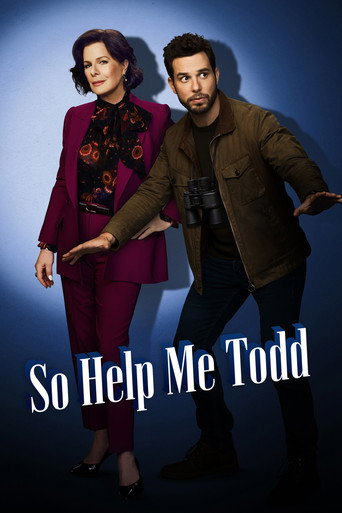 Cartel de So Help Me Todd