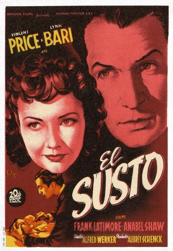 Cartel de El susto