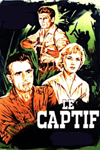 Cartel de Le Captif