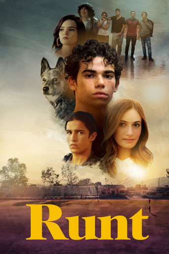 Cartel de Runt