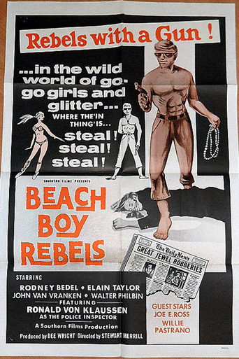 Cartel de Beach Boy Rebels