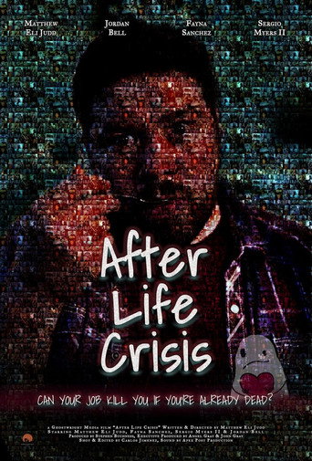Cartel de After Life Crisis