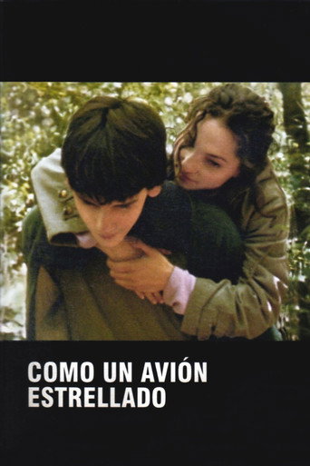 Cartel de Como un avión estrellado