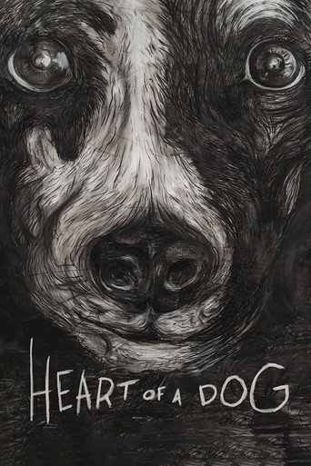Cartel de Corazon de Perro