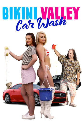 Cartel de Bikini Valley Car Wash