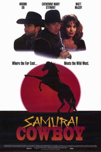 Cartel de Samurai Cowboy