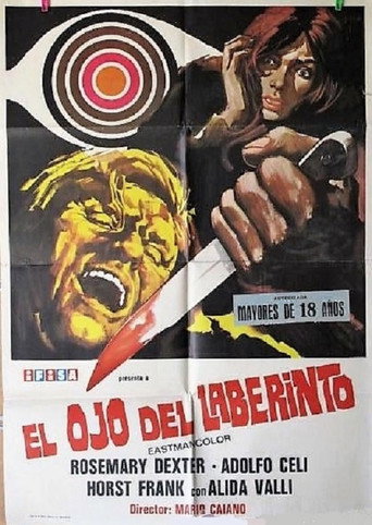 Cartel de El ojo del laberinto