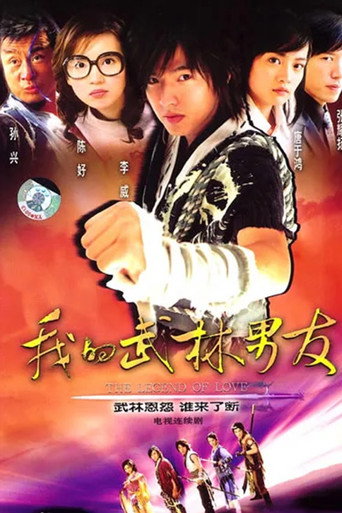 Cartel de My Kung Fu Knight