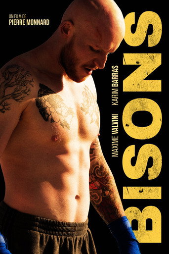 Cartel de Bisons