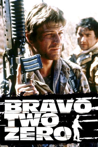 Cartel de Bravo Two Zero