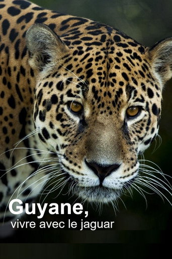 Cartel de Guyane, vivre avec le jaguar