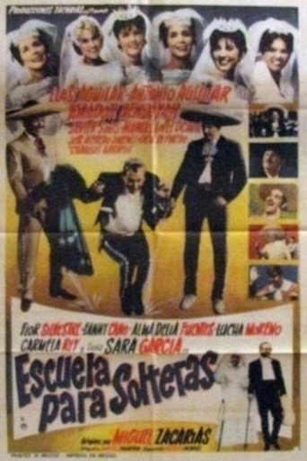 Cartel de Escuela para solteras
