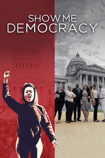 Cartel de Show Me Democracy