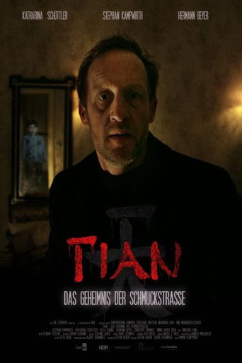 Cartel de Tian - Das Geheimnis der Schmuckstraße