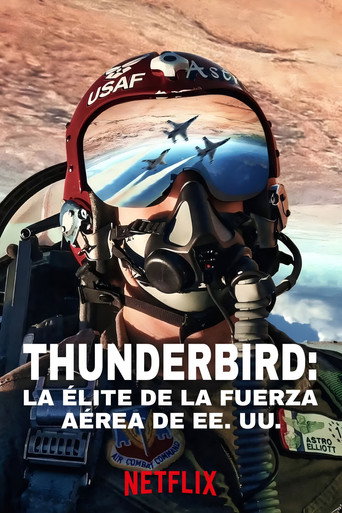 Cartel de Thunderbirds: La élite de la Fuerza Aérea de EE. UU.
