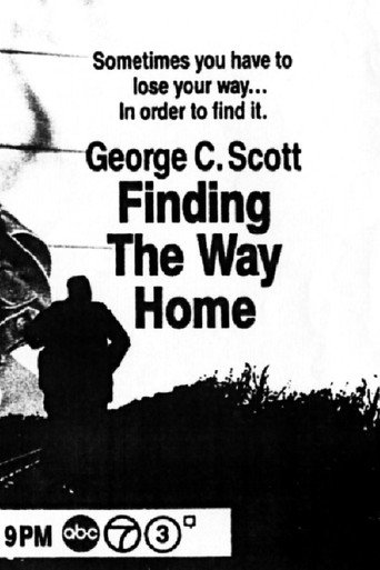 Cartel de Finding the Way Home