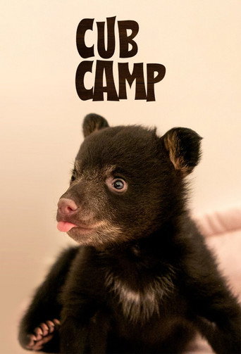 Cartel de Cub Camp