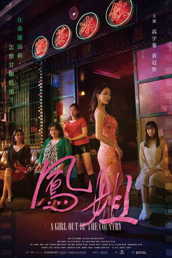 Cartel de 鳳姐