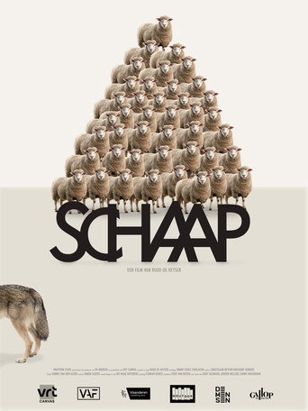 Cartel de Schaap