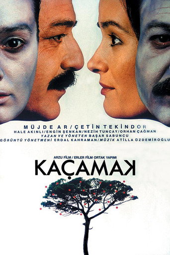 Cartel de Kaçamak